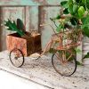 Delivery Trike Planter