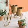 Thornehill Trike Planter Garden