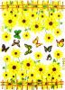 Colorful Butterfly and Blooming Flowers - Wall Decals Stickers Appliques Home Dcor