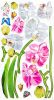 Aromatic Flowers - Wall Decals Stickers Appliques Home Decor